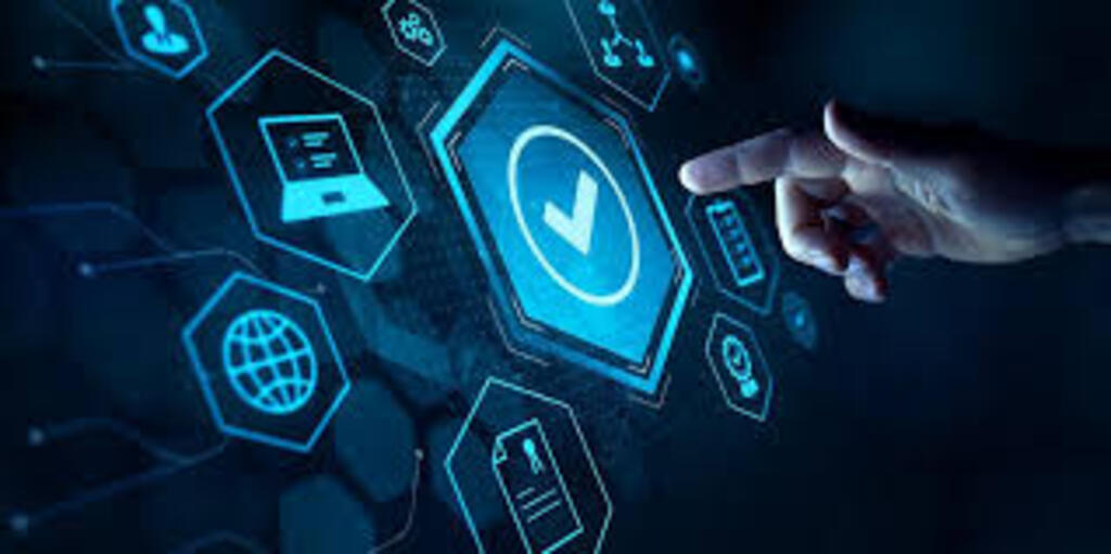 Conseil & accompagnement numérique